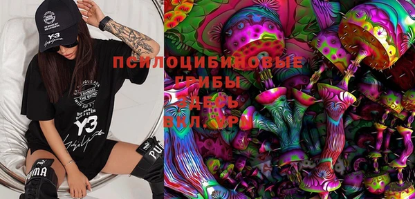 кокс Аркадак