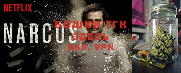 дурь Пересвет