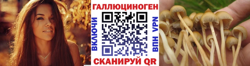 Галлюциногенные грибы прущие грибы  blacksprut ТОР  Весьегонск 